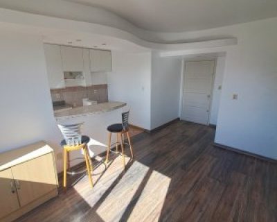 Apartamento à venda com 43m², 1 dormitório no bairro Floresta em Porto Alegre